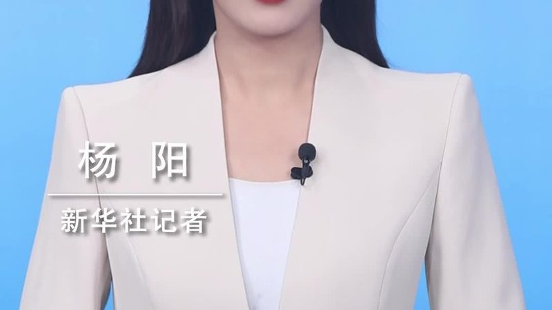 商业智能与数据分析：本质区别与应用场景
